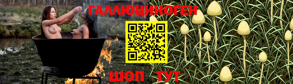 Гай  Псилоцибиновые грибы ЛСД  Галлюциногенные грибы мухоморы  Вход с VPN 